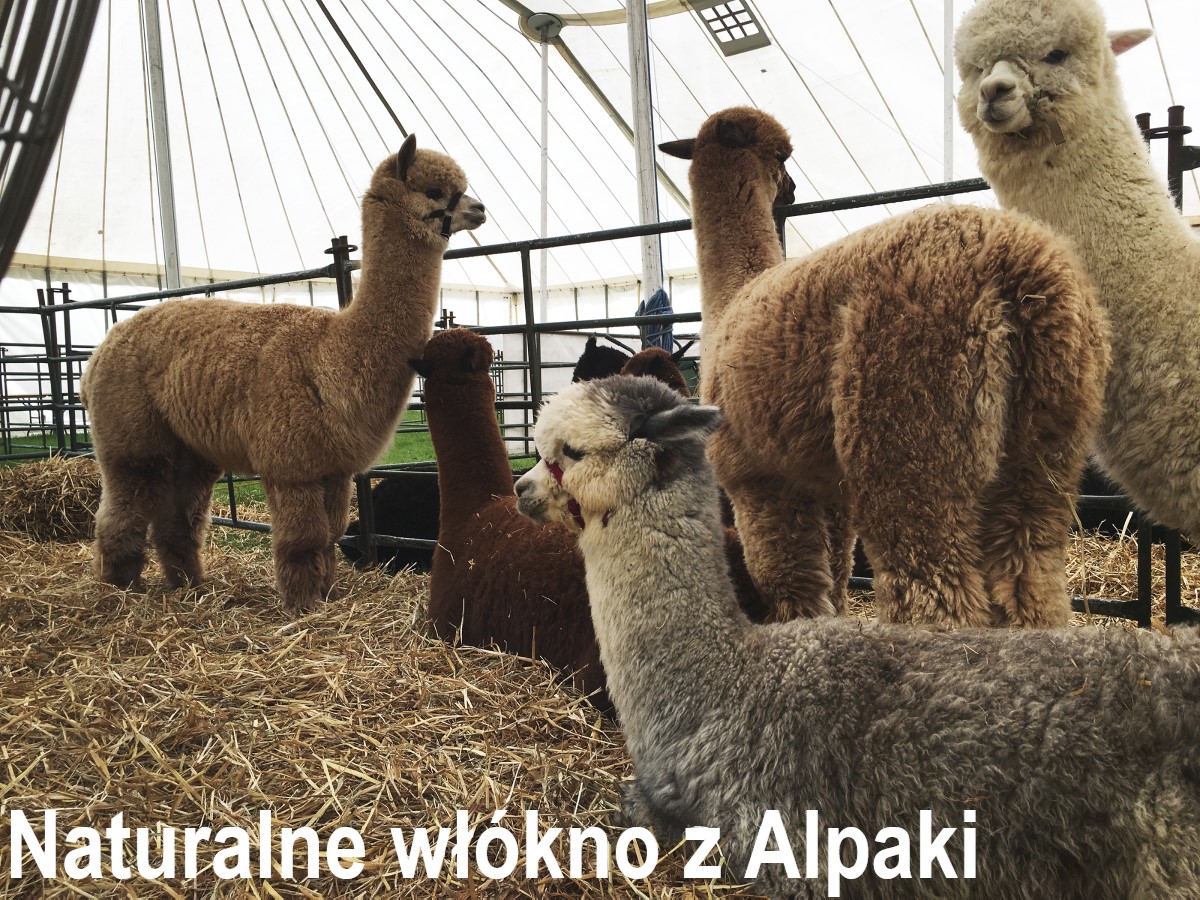 naturalne wlokno z alpaki